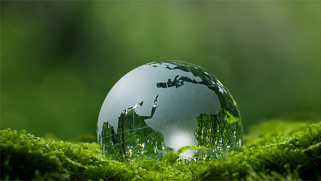 Nachhaltigkeit im Fokus der Prüfung: Online-Seminar für Prüfer:innen & Ausbilder:innen zur mündlichen Prüfung KVF